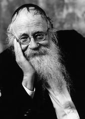הרב עדין אבן ישראל שטיינזלץ