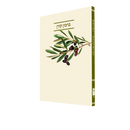 ברכון קורן שיר ציון - סט 7 חלקים