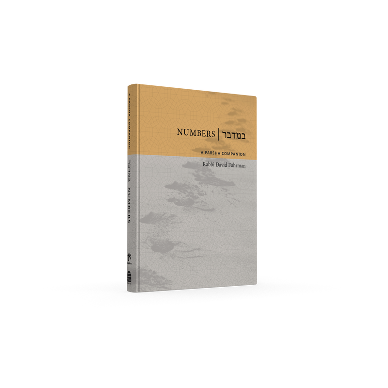 Numbers: A Parsha Companion