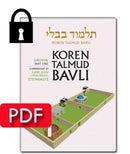 Vol. 4 Eiruvin Part 1 - PDF