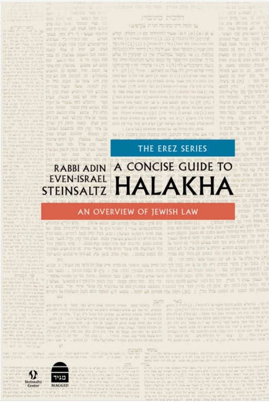 A Concise Guide to Halakha No reviews