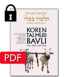 Vol. 26 Bava Metzia Part 2 - PDF