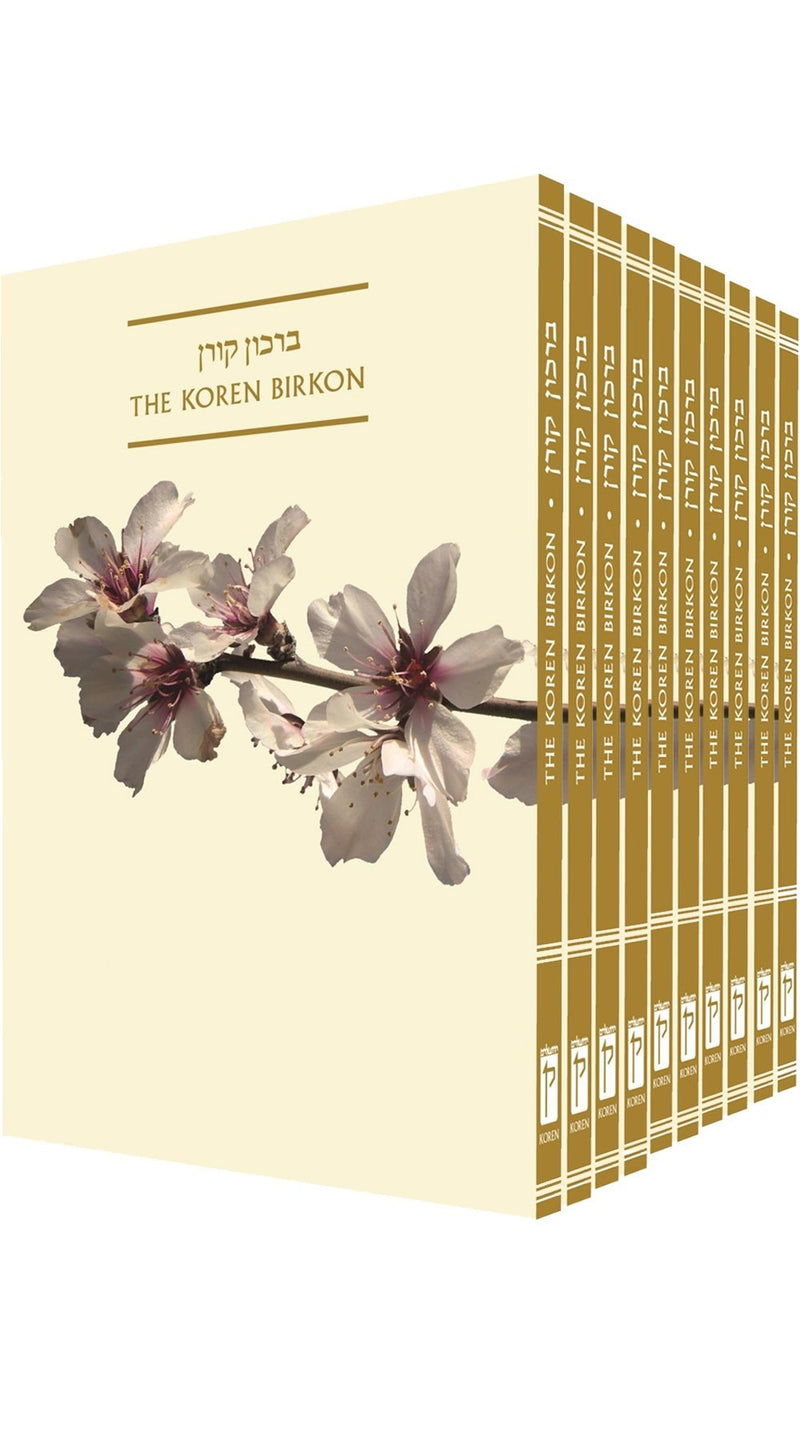 The Koren Birkon - package of 10