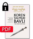 Vol. 30: Sanhedrin Part 2- PDF